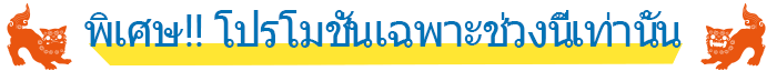 พิเศษ!! โปรโมชั่นเฉพาะช่วงนี้เท่านั้น
