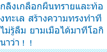 กลิ้งเกลือกผืนทรายและท้องทะเล สร้างความทรงทำที่ไม่รู้ลืม ยามเมื่อได้มาที่โอกินาว่า！！