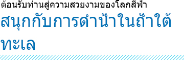 หลักสูตรดำน้ำขั้นพื้นฐานในถ้ำใต้ทะเล