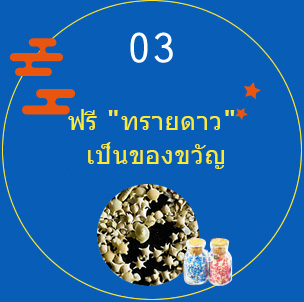 03 ฟรี 'ทรายดาว' เป็นของขวัญ